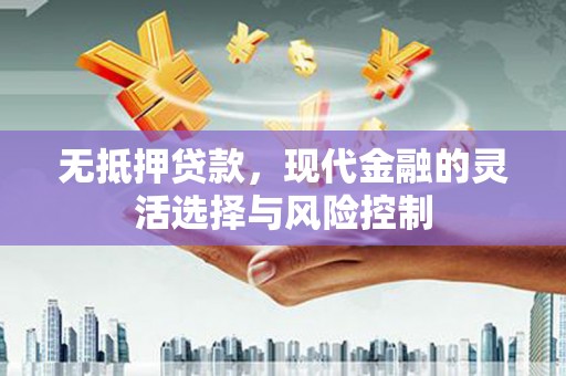 溆浦无抵押贷款，现代金融的灵活选择与风险控制