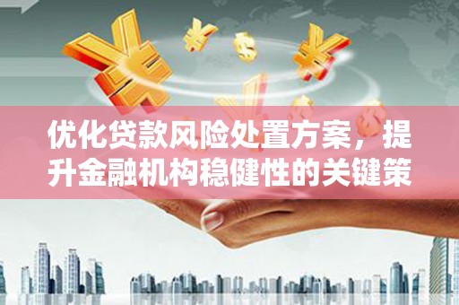 溆浦优化贷款风险处置方案，提升金融机构稳健性的关键策略