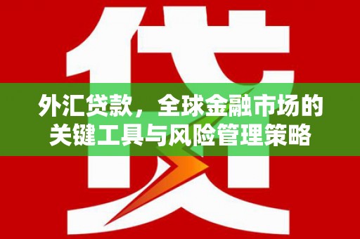 溆浦外汇贷款，全球金融市场的关键工具与风险管理策略