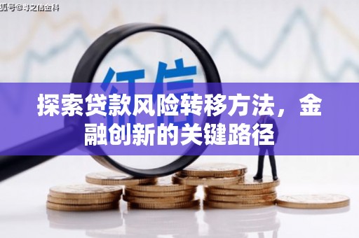 溆浦探索贷款风险转移方法，金融创新的关键路径