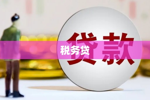 溆浦税务贷