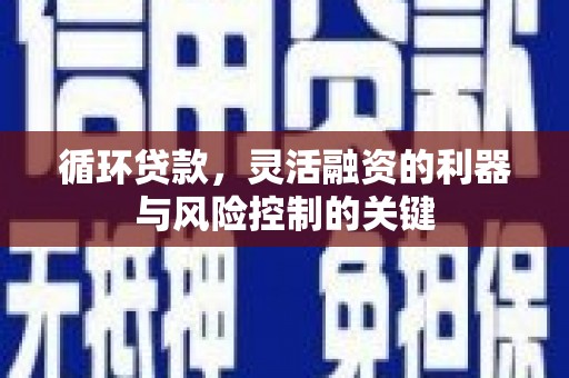 溆浦循环贷款，灵活融资的利器与风险控制的关键