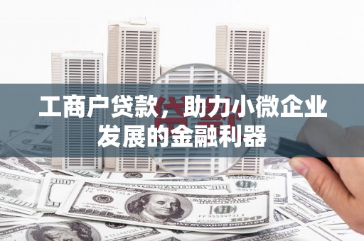 溆浦工商户贷款，助力小微企业发展的金融利器