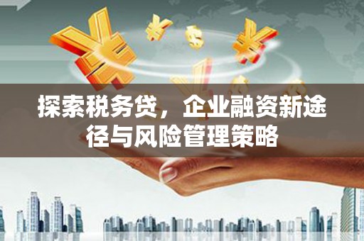 溆浦探索税务贷，企业融资新途径与风险管理策略