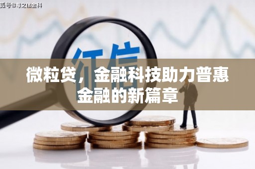 溆浦微粒贷，金融科技助力普惠金融的新篇章