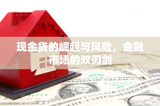 溆浦现金贷的崛起与风险，金融市场的双刃剑