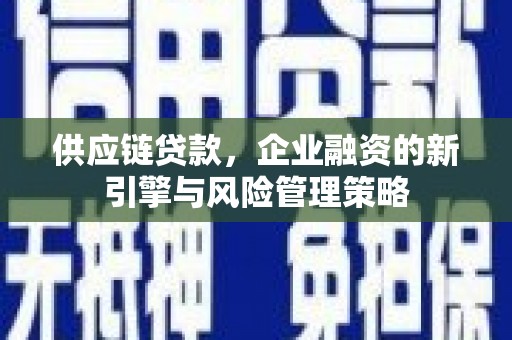溆浦供应链贷款，企业融资的新引擎与风险管理策略