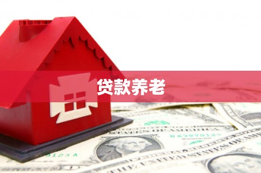 溆浦贷款养老