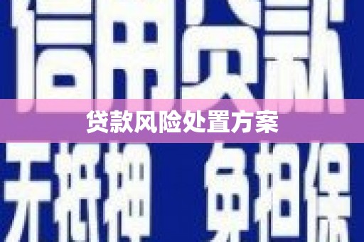 溆浦贷款风险处置方案