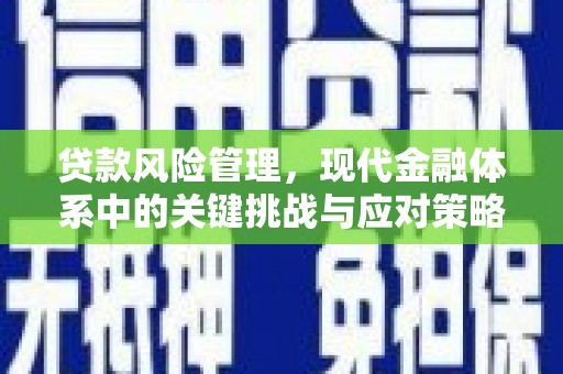 溆浦贷款风险管理，现代金融体系中的关键挑战与应对策略