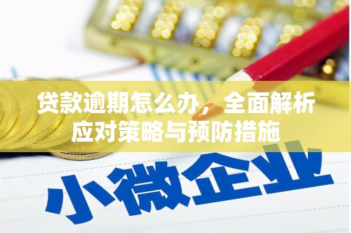 溆浦贷款逾期怎么办，全面解析应对策略与预防措施
