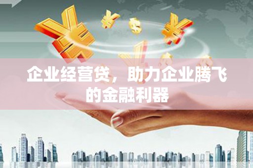 溆浦企业经营贷，助力企业腾飞的金融利器
