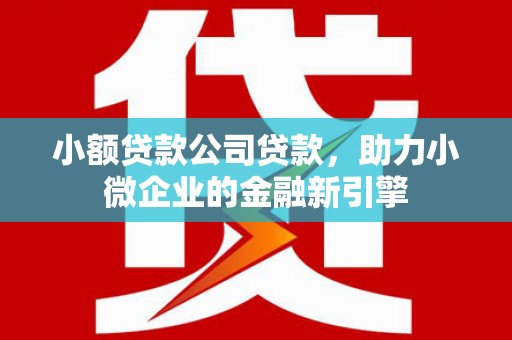 溆浦小额贷款公司贷款，助力小微企业的金融新引擎