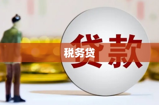 溆浦税务贷