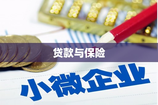 溆浦贷款与保险