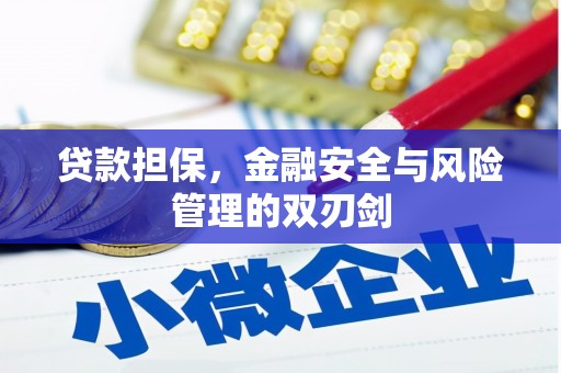 溆浦贷款担保，金融安全与风险管理的双刃剑