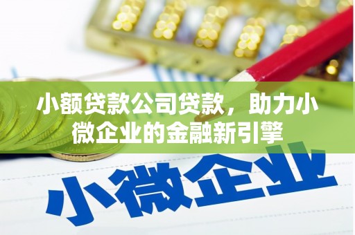 溆浦小额贷款公司贷款，助力小微企业的金融新引擎