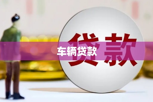 溆浦车辆贷款