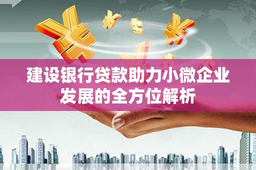 溆浦建设银行贷款助力小微企业发展的全方位解析