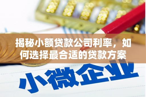 溆浦揭秘小额贷款公司利率，如何选择最合适的贷款方案