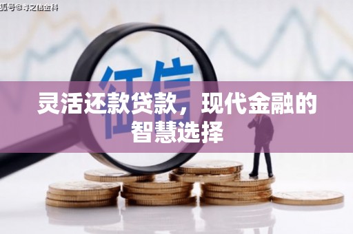 溆浦灵活还款贷款，现代金融的智慧选择