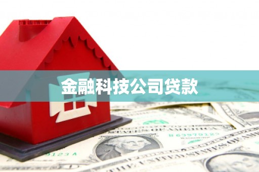溆浦金融科技公司贷款