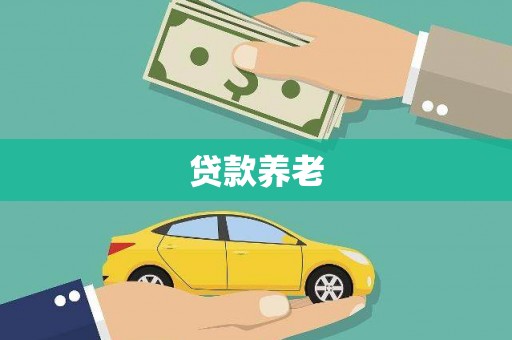 溆浦贷款养老