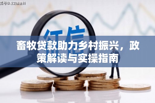 溆浦畜牧贷款助力乡村振兴，政策解读与实操指南