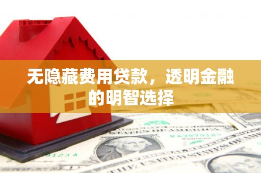 溆浦无隐藏费用贷款，透明金融的明智选择