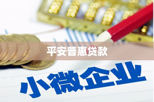 溆浦平安普惠贷款