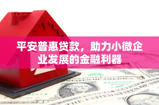 溆浦平安普惠贷款，助力小微企业发展的金融利器