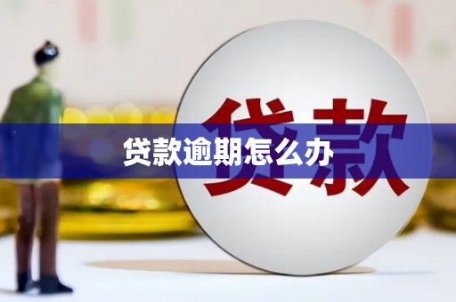 溆浦贷款逾期怎么办