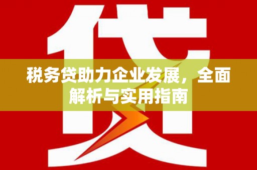 溆浦税务贷助力企业发展，全面解析与实用指南
