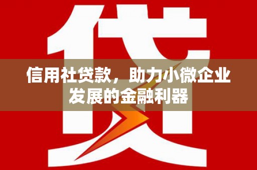 溆浦信用社贷款，助力小微企业发展的金融利器