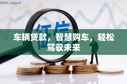 溆浦车辆贷款，智慧购车，轻松驾驭未来
