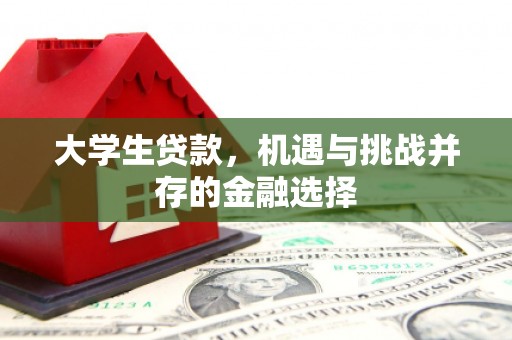 溆浦大学生贷款，机遇与挑战并存的金融选择