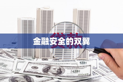 溆浦金融安全的双翼