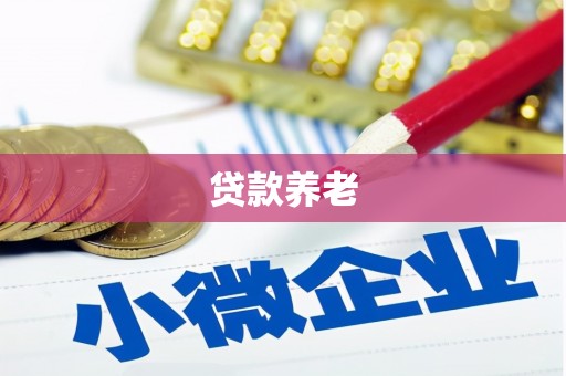 溆浦贷款养老
