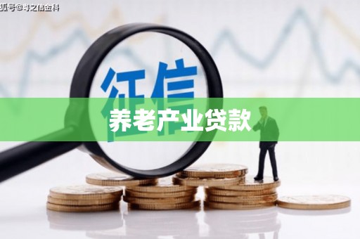 溆浦养老产业贷款