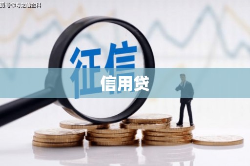 溆浦信用贷