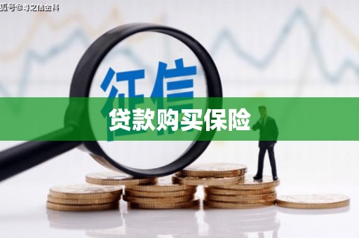 溆浦贷款购买保险