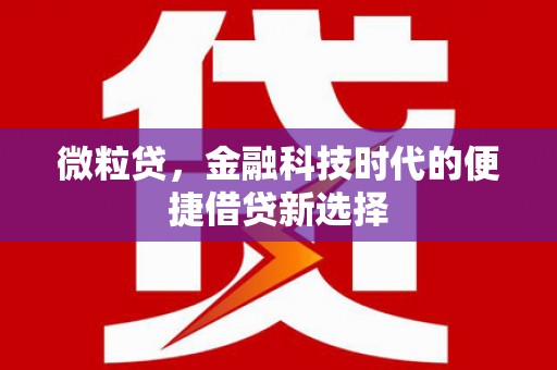 溆浦微粒贷，金融科技时代的便捷借贷新选择