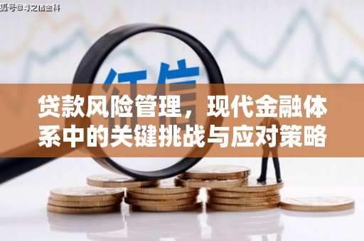 溆浦贷款风险管理，现代金融体系中的关键挑战与应对策略