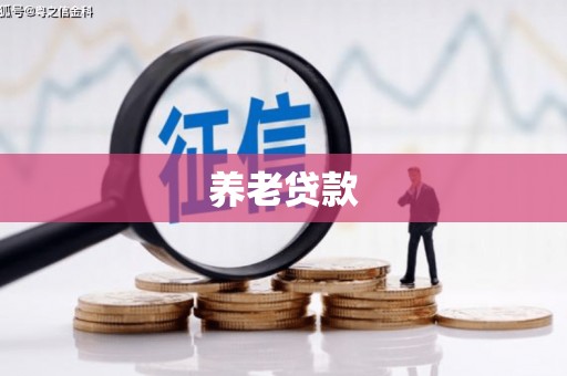 溆浦养老贷款