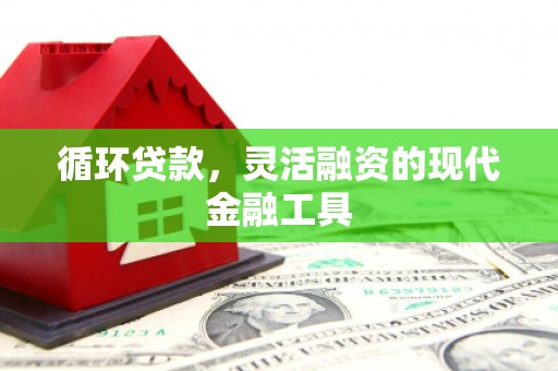 溆浦循环贷款，灵活融资的现代金融工具