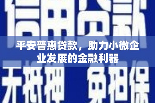 溆浦平安普惠贷款，助力小微企业发展的金融利器