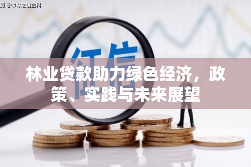 溆浦林业贷款助力绿色经济，政策、实践与未来展望