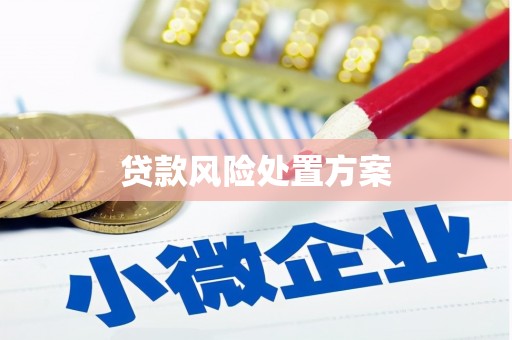 溆浦贷款风险处置方案