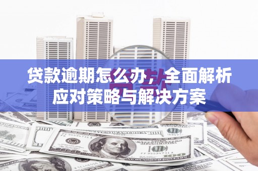 溆浦贷款逾期怎么办，全面解析应对策略与解决方案