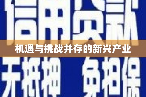 溆浦机遇与挑战并存的新兴产业